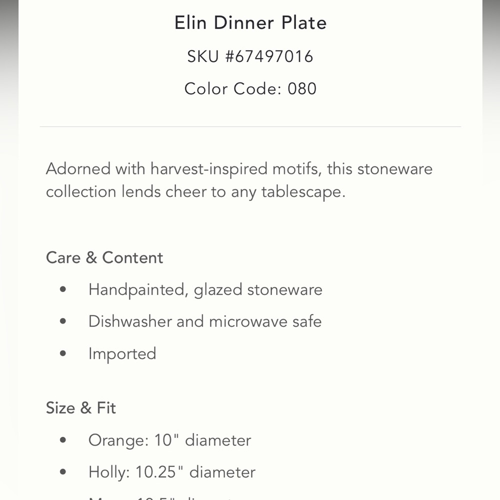 LAST SET🔥Elin Dinner Plate Set 4 - Picture 9 of 10